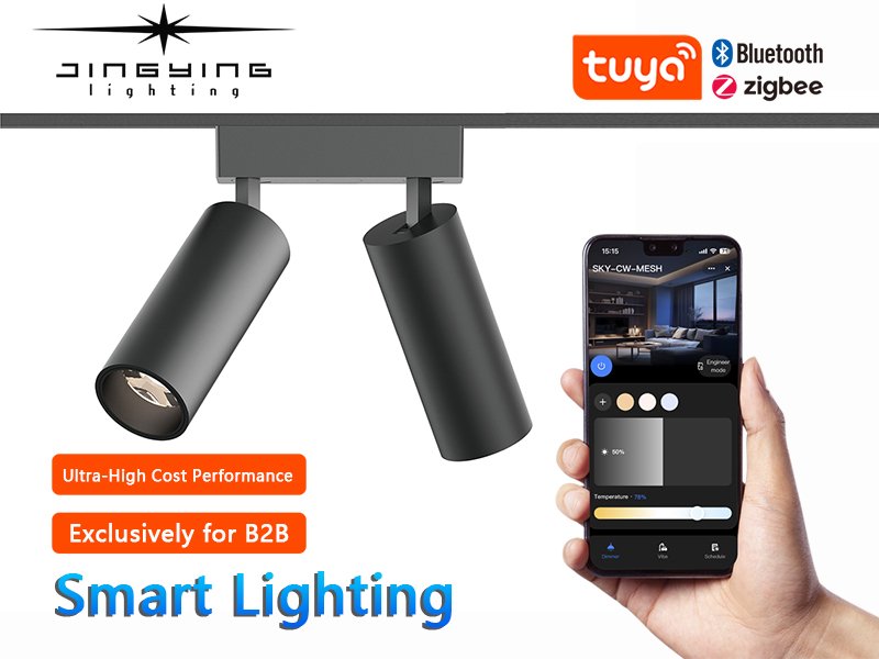 LED Aluminum Magnetic Track Intelligent Spotlight Light for Villa Lighting Made in China