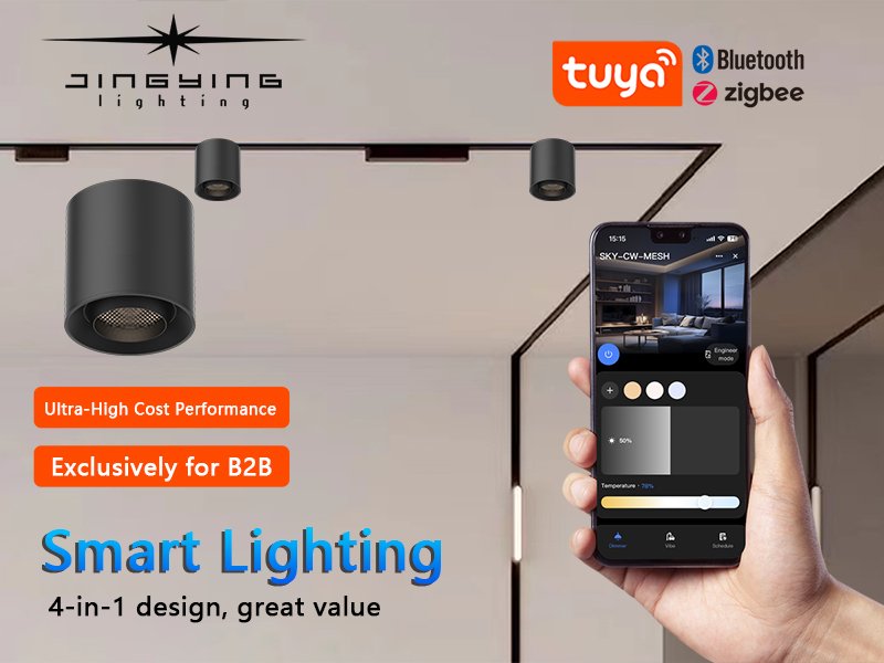 Modern LED Aluminum Ultra-Thin Track Smart Light for Apartment Lighting Companies in China